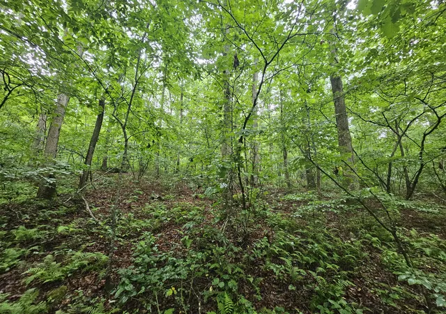 16th image of 2411 Sr 56 Rd #2, Tracy City, TN 37387 | MLS# 1538588