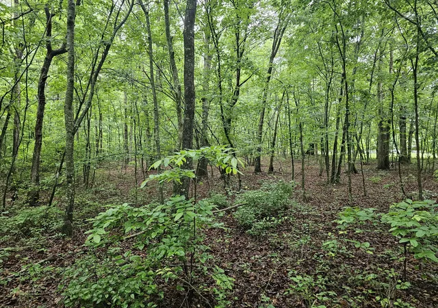 1st image of 2411 Sr 56 Rd #2, Tracy City, TN 37387 | MLS# 1538588