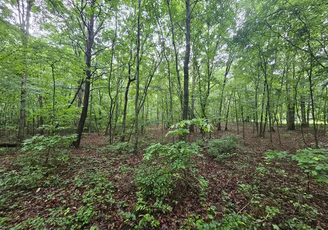 2nd image of 2411 Sr 56 Rd #2, Tracy City, TN 37387 | MLS# 1538588