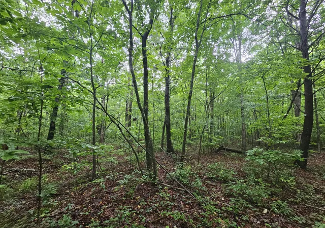 3rd image of 2411 Sr 56 Rd #2, Tracy City, TN 37387 | MLS# 1538588