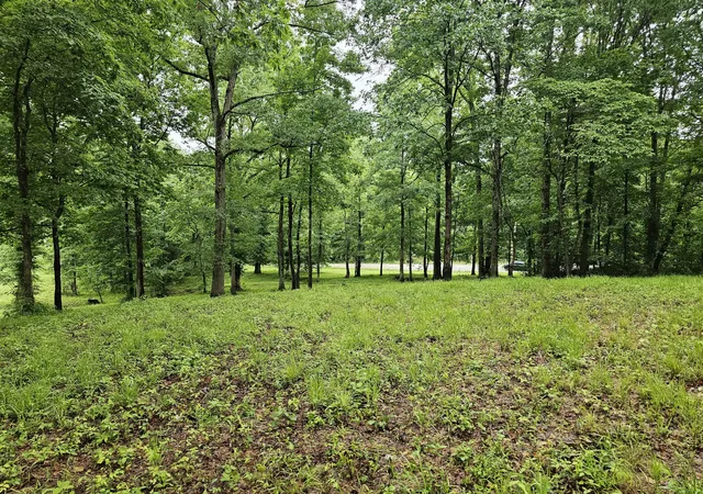 5th image of 2411 Sr 56 Rd #2, Tracy City, TN 37387 | MLS# 1538588