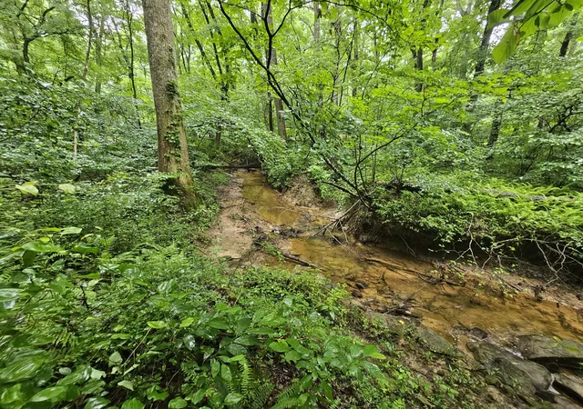 1st image of 2411 Sr 56 Rd #4, Tracy City, TN 37387 | MLS# 1538592