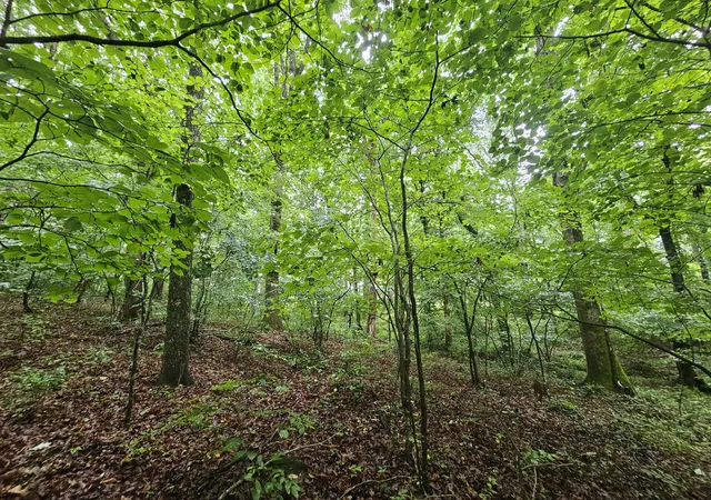 3rd image of 2411 Sr 56 Rd #4, Tracy City, TN 37387 | MLS# 1538592