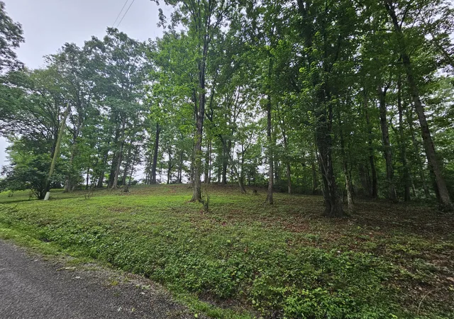 1st image of 2411 Sr 56 Rd #5, Tracy City, TN 37387 | MLS# 1538594