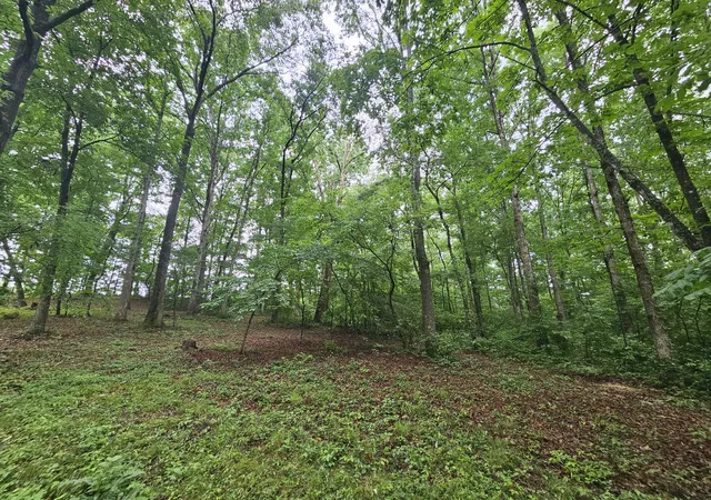 2nd image of 2411 Sr 56 Rd #5, Tracy City, TN 37387 | MLS# 1538594