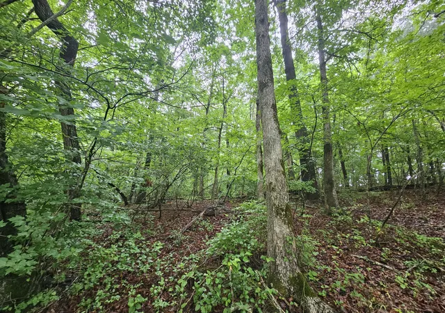 9th image of 2411 Sr 56 Rd #5, Tracy City, TN 37387 | MLS# 1538594