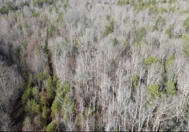 2nd image of 767 Wichser Rd, Gruetli Laager, TN 37339 | MLS# 1538667
