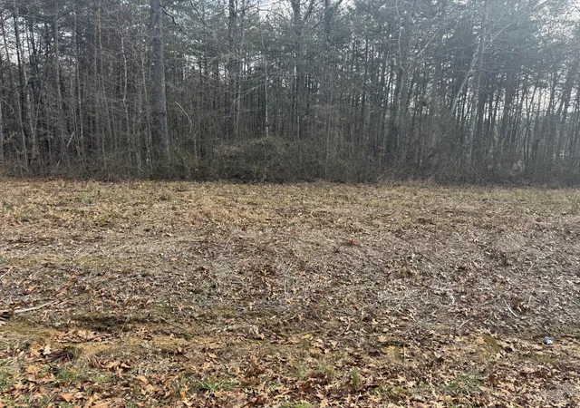 Homes for sale in Bryant, AL | 01 County Rd #267, Lot 6, Bryant, AL 35958 | MLS# 1538672
