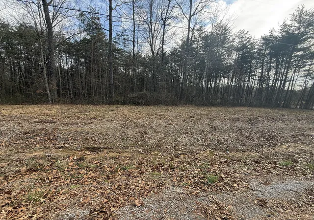 Homes for sale in Bryant, AL | 01 County Rd #267, Lot 6, Bryant, AL 35958 | MLS# 1538672