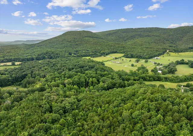 4th image of 00 Fricks Gap Rd #Lot 4, Chickamauga, GA 30707 | MLS# 1538680