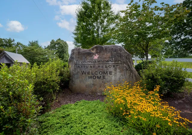 Photo 1 of Land for sale at 243 Roaring Creek Rd, Dunlap, TN 37327 | MLS# 1541423 | Listing updated on 2026-08-26