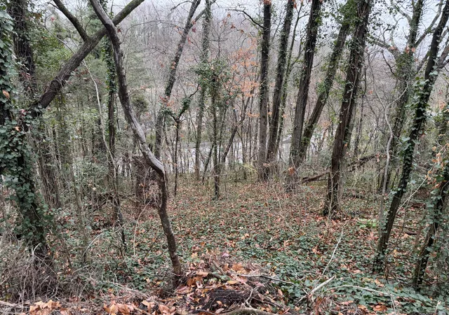 Photo 3 of Land for sale at 3991 Knollwood Ter, Chattanooga, TN 37415 | MLS# 1541424 | Listing updated on 2026-08-25