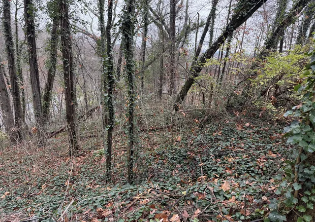 Photo 3 of Land for sale at 3991 Knollwood Ter, Chattanooga, TN 37415 | MLS# 1541424 | Listing updated on 2026-08-25