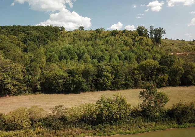 Photo 2 of Land for sale at 00 Lead Mine Valley Rd Sw, Cleveland, TN 37311 | MLS# 1541464 | Listing updated on 2026-08-25