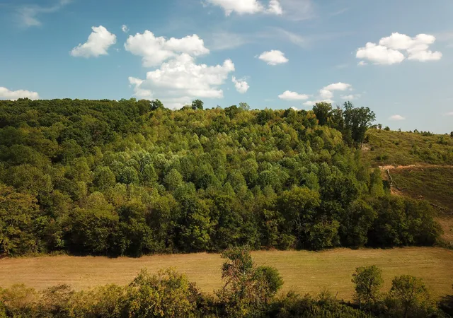 Photo 3 of Land for sale at 00 Lead Mine Valley Rd Sw, Cleveland, TN 37311 | MLS# 1541464 | Listing updated on 2026-08-25