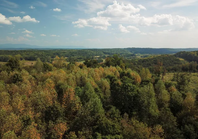 Photo 4 of Land for sale at 00 Lead Mine Valley Rd Sw, Cleveland, TN 37311 | MLS# 1541464 | Listing updated on 2026-08-25