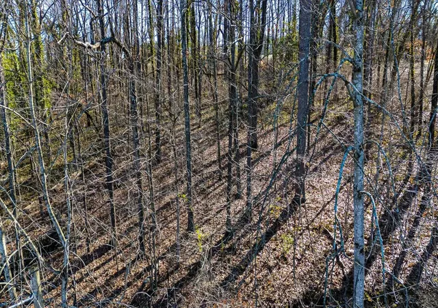 Photo 12 of Land for sale at 0 Bonny Oaks Dr, Chattanooga, TN 37406 | MLS# 1541502 | Listing updated on 2026-08-26