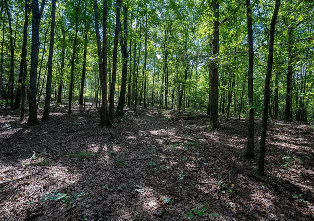 52nd image of 1091 County Road 295, Higdon, AL 35979 | MLS# 1541727