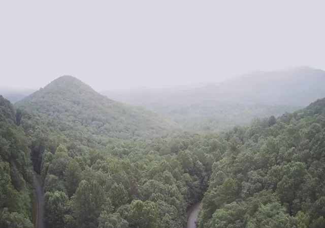 Land for sale at 0 Prospectors Pass, Ellijay, GA 30536 | MLS# 1541560