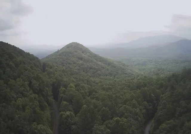 Photo 2 of Land for sale at 0 Prospectors Pass, Ellijay, GA 30536 | MLS# 1541560 | Listing updated on 2026-09-12