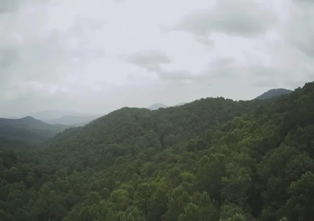 Photo 3 of Land for sale at 0 Prospectors Pass, Ellijay, GA 30536 | MLS# 1541560 | Listing updated on 2026-09-12