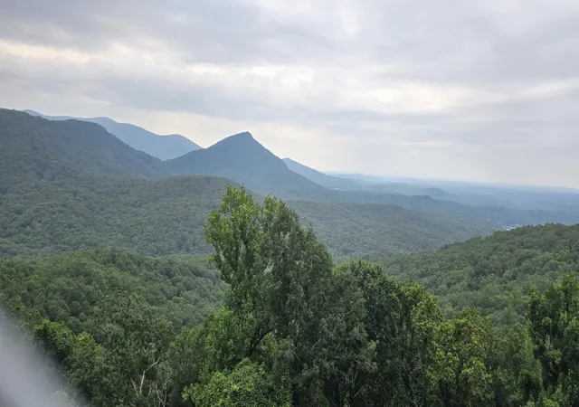 Photo 4 of Land for sale at 0 Prospectors Pass, Ellijay, GA 30536 | MLS# 1541560 | Listing updated on 2026-09-12