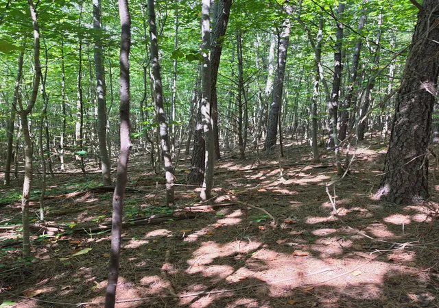 Photo 3 of Land for sale at 1015 Hotwater Rd, Soddy Daisy, TN 37379 | MLS# 1541593 | Listing updated on 2026-09-15