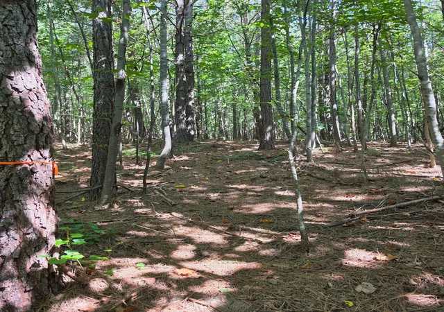 Photo 3 of Land for sale at 1015 Hotwater Rd, Soddy Daisy, TN 37379 | MLS# 1541593 | Listing updated on 2026-09-15