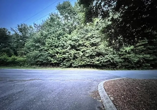 Photo 3 of Land for sale at Lot 91 Battleline Dr, Rocky Face, GA 30740 | MLS# 1541620 | Listing updated on 2026-08-27