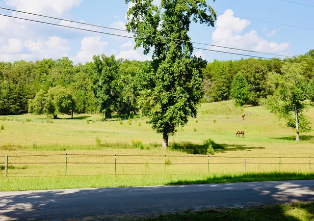Photo 3 of Single family home for sale at 697 Newt Johnson Rd, Chickamauga, GA 30707 | MLS# 1541808 | Listing updated on 2026-08-31