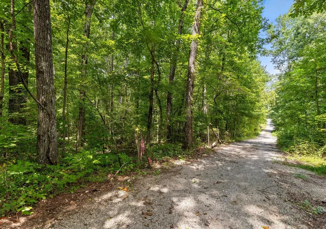 Photo 4 of Land for sale at 2223 Laurel St, Signal Mountain, TN 37377 | MLS# 1541804 | Listing updated on 2026-09-02