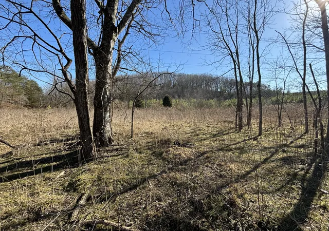 Photo 1 of Land for sale at 0 Dividing Ridge Rd, Spring City, TN 37381 | MLS# 1541832 | Listing updated on 2026-08-31