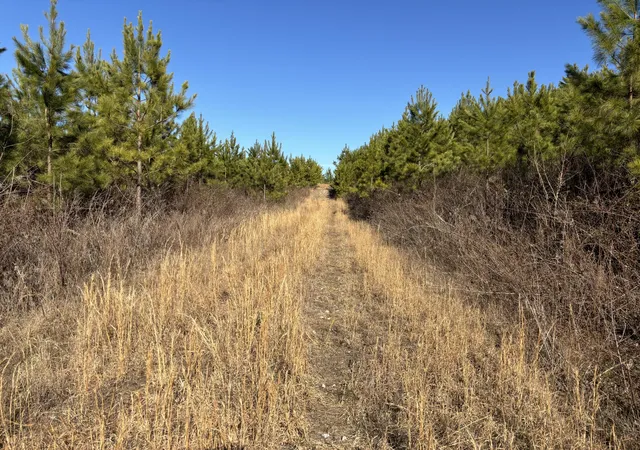 Photo 3 of Land for sale at 0 Dividing Ridge Rd, Spring City, TN 37381 | MLS# 1541832 | Listing updated on 2026-08-31