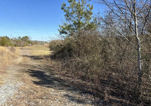 Photo 4 of Land for sale at 0 Dividing Ridge Rd, Spring City, TN 37381 | MLS# 1541832 | Listing updated on 2026-08-31