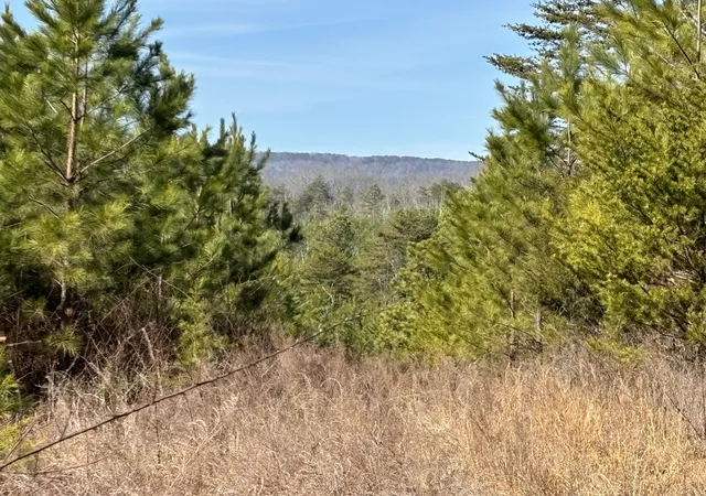 Photo 1 of Land for sale at 0 Vaughn Ml Rd, Evensville, TN 37332 | MLS# 1541833 | Listing updated on 2026-08-31
