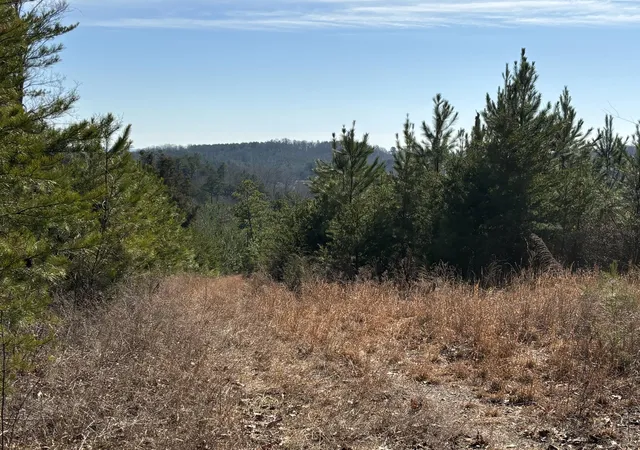 Photo 2 of Land for sale at 0 Vaughn Ml Rd, Evensville, TN 37332 | MLS# 1541833 | Listing updated on 2026-08-31