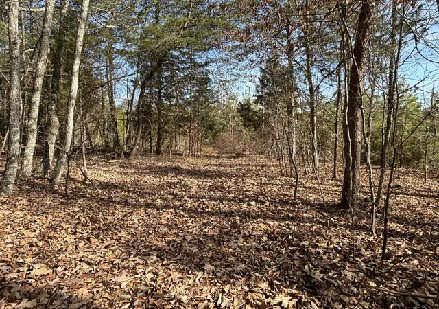 Photo 3 of Land for sale at 0 Vaughn Ml Rd, Evensville, TN 37332 | MLS# 1541833 | Listing updated on 2026-08-31