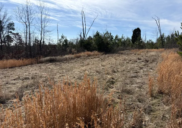 Photo 3 of Land for sale at 0 Vaughn Ml Rd, Evensville, TN 37332 | MLS# 1541833 | Listing updated on 2026-08-31