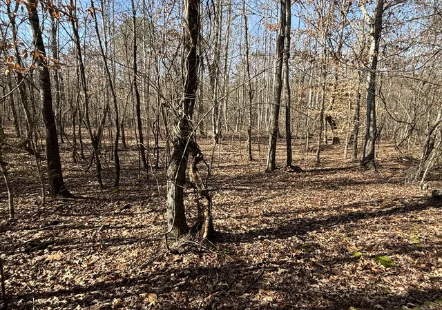 Photo 4 of Land for sale at 0 Vaughn Ml Rd, Evensville, TN 37332 | MLS# 1541833 | Listing updated on 2026-08-31