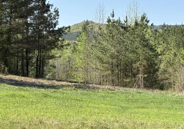 Photo 1 of Land for sale at 108 Leggett Rd, Sale Creek, TN 37373 | MLS# 1541835 | Listing updated on 2026-08-31
