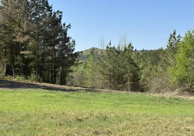 Photo 2 of Land for sale at 108 Leggett Rd, Sale Creek, TN 37373 | MLS# 1541835 | Listing updated on 2026-08-31