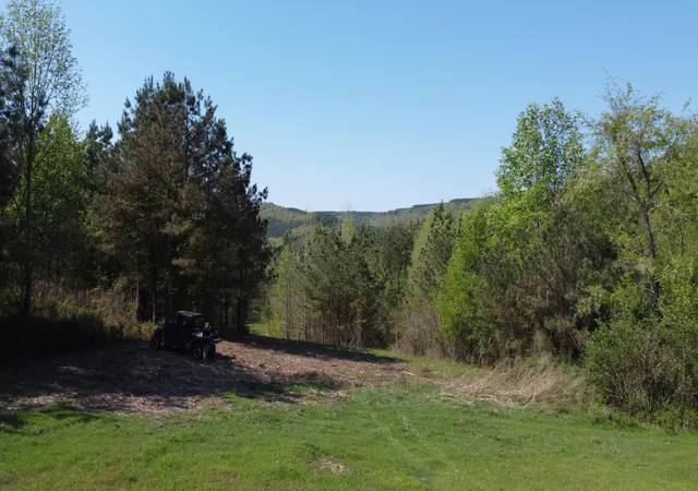 Photo 3 of Land for sale at 108 Leggett Rd, Sale Creek, TN 37373 | MLS# 1541835 | Listing updated on 2026-08-31