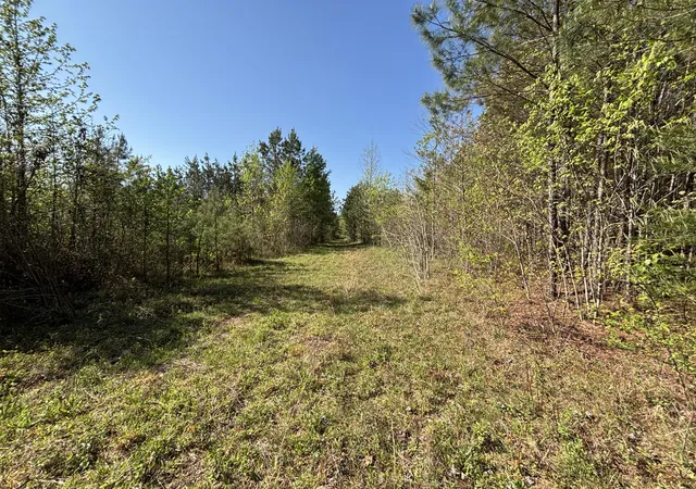 Photo 4 of Land for sale at 108 Leggett Rd, Sale Creek, TN 37373 | MLS# 1541835 | Listing updated on 2026-08-31