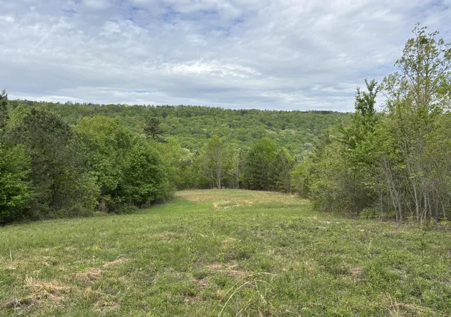 Photo 1 of Land for sale at 367 Leggett Rd, Sale Creek, TN 37373 | MLS# 1541836 | Listing updated on 2026-08-31