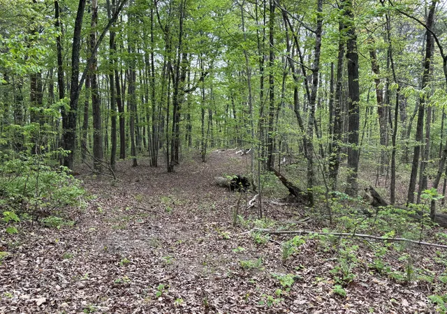 Photo 2 of Land for sale at 367 Leggett Rd, Sale Creek, TN 37373 | MLS# 1541836 | Listing updated on 2026-08-31