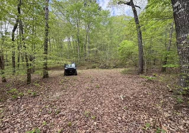 Photo 3 of Land for sale at 367 Leggett Rd, Sale Creek, TN 37373 | MLS# 1541836 | Listing updated on 2026-08-31