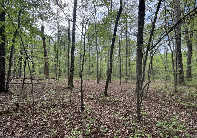 Photo 3 of Land for sale at 367 Leggett Rd, Sale Creek, TN 37373 | MLS# 1541836 | Listing updated on 2026-08-31