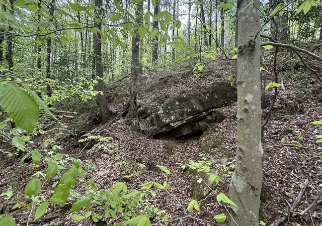 Photo 4 of Land for sale at 367 Leggett Rd, Sale Creek, TN 37373 | MLS# 1541836 | Listing updated on 2026-08-31