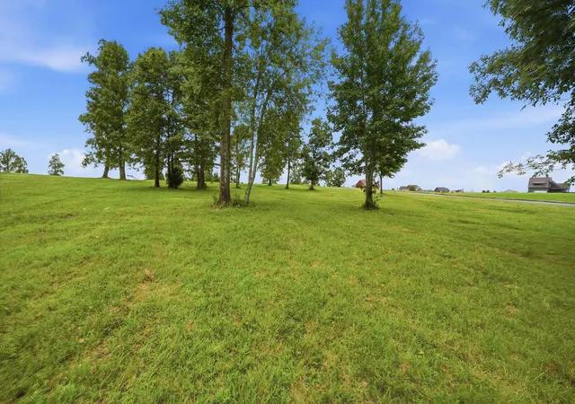 Photo 4 of Land for sale at 0 Turkey Trot Ln, Jasper, TN 37347 | MLS# 1541840 | Listing updated on 2026-08-31