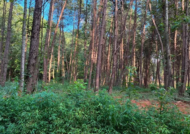 Photo 1 of Sale Pending at 100 County Rd 262 Lot 4, Niota, TN 37826 | MLS# 1541857 | Listing updated on 2026-10-23